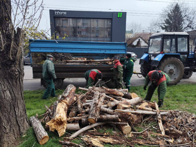Комунальники міста працюють у посиленому режимі, щоб ліквідувати наслідки стихії в Одесі